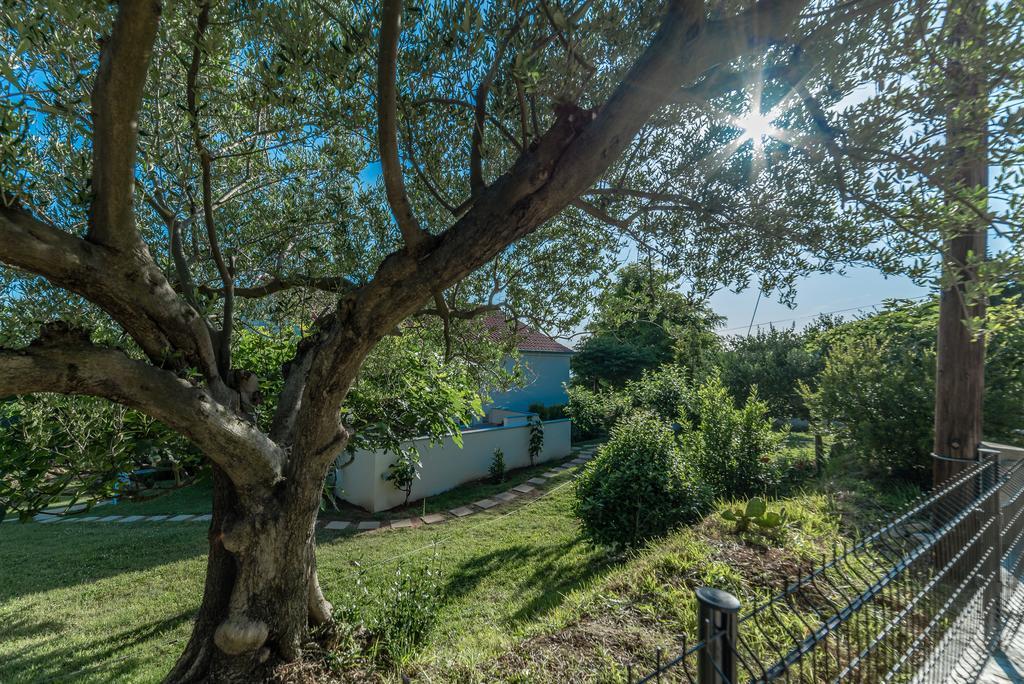 Apartment Robinson Podvrsje Eksteriør bilde